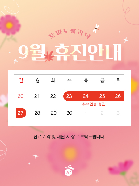 진료일정